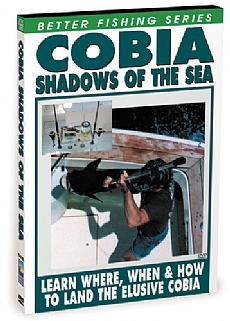 Cobia: Shadows Of The Sea