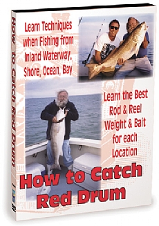 How To Catch Red Drum