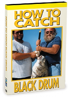 How To Catch Black Drum