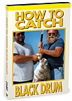 How To Catch Black Drum