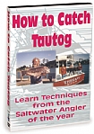 How To Catch Tautog