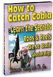 How To Catch Cobia